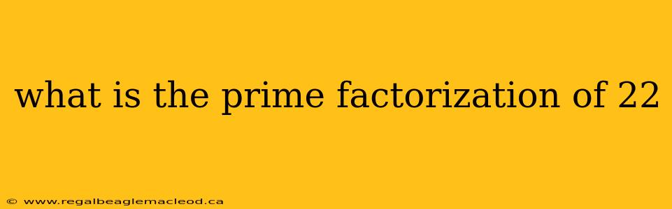 what is the prime factorization of 22