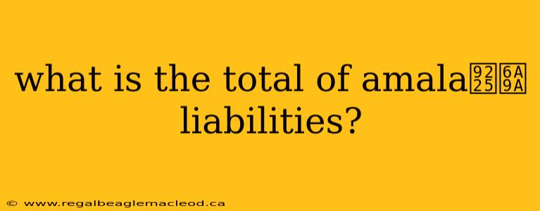 what is the total of amala鈥檚 liabilities?