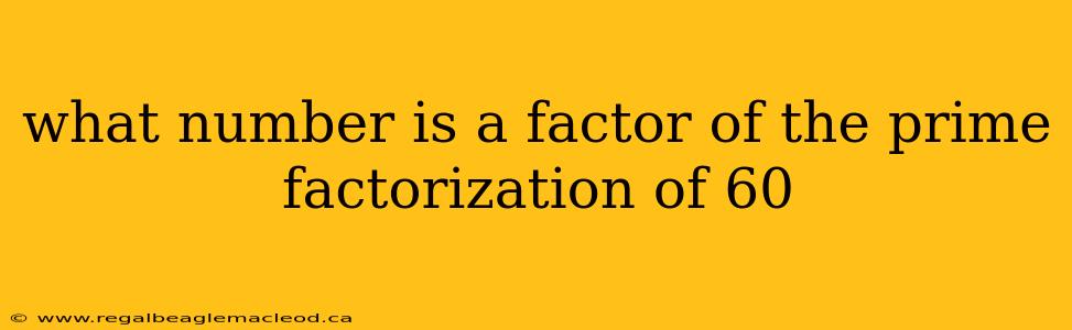 what number is a factor of the prime factorization of 60