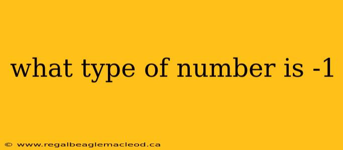 what type of number is -1
