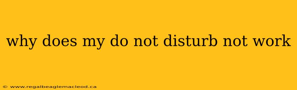 why does my do not disturb not work