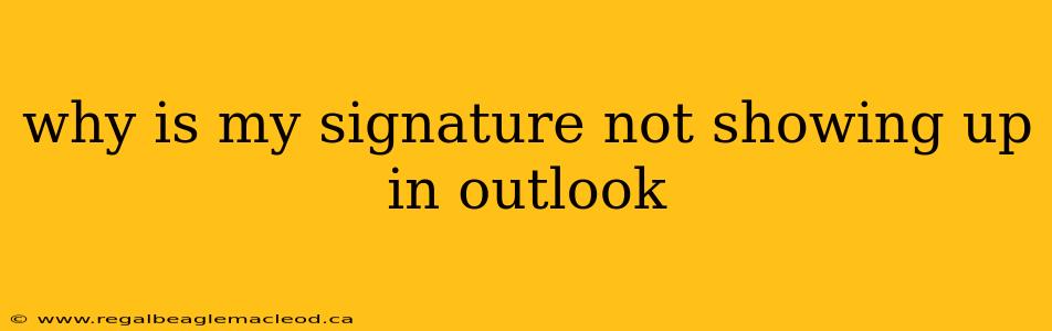 why is my signature not showing up in outlook