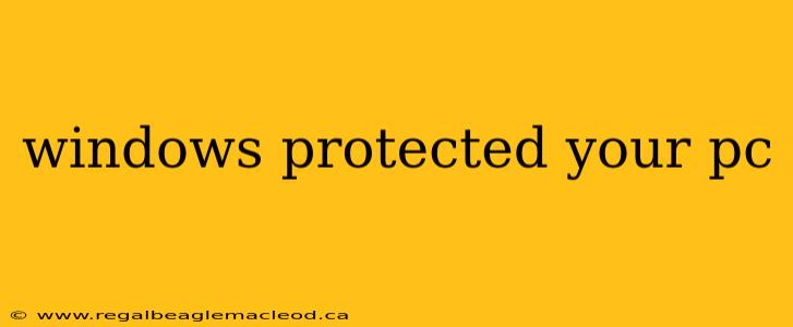 windows protected your pc