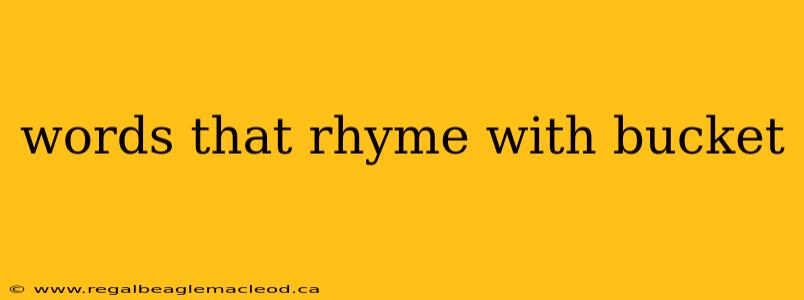 words that rhyme with bucket